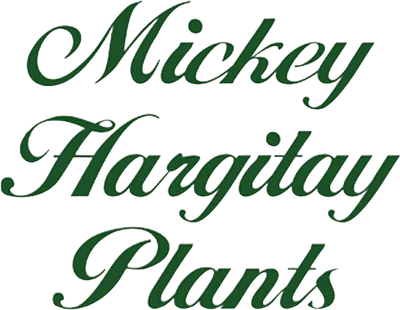 Mickey Hargitay Plants