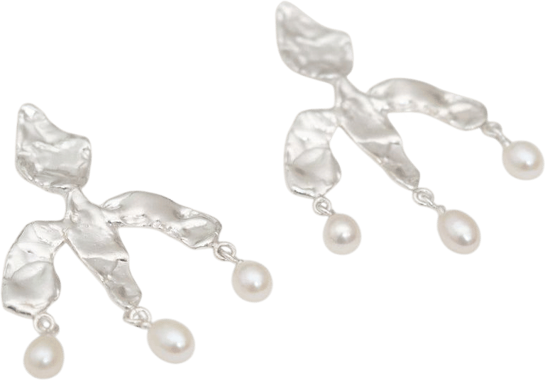 A History of Frogs Phantom Lights Earrings