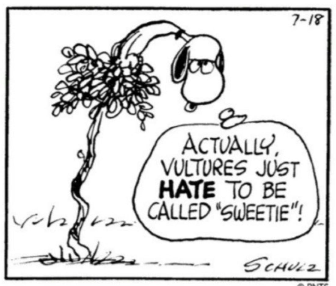 When Snoopy is a vulture