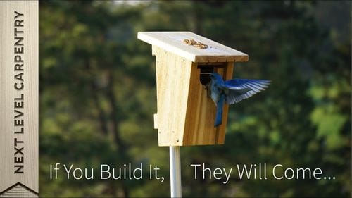Build a Bluebird Nestbox