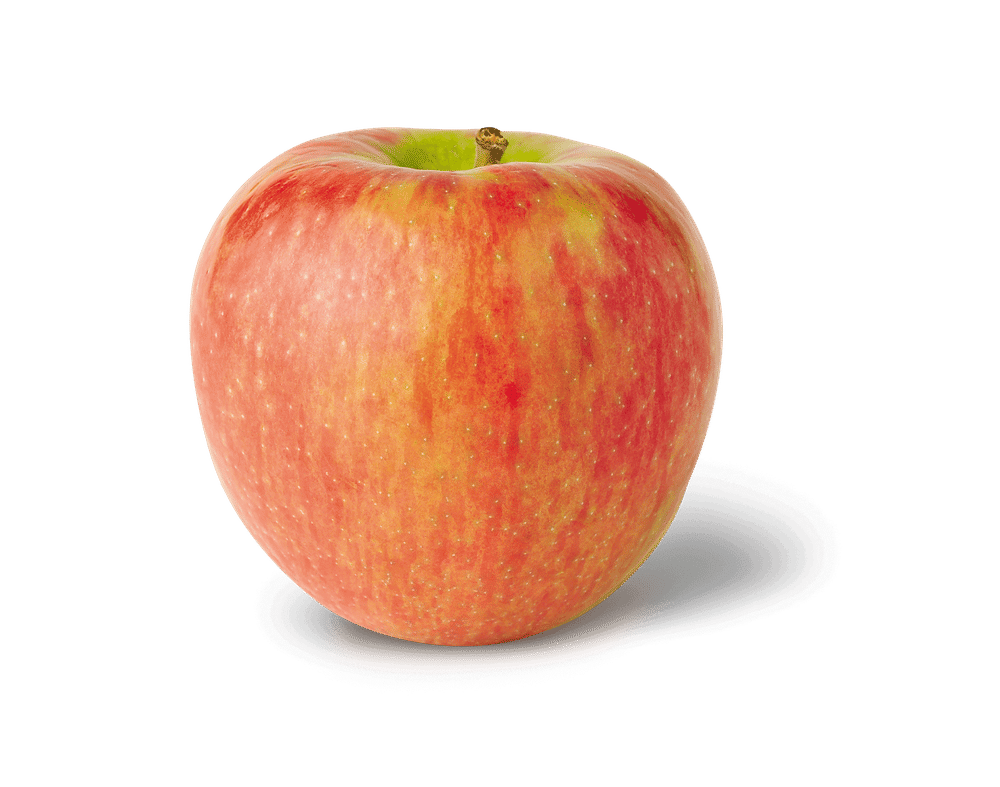 Honeycrisp Apples