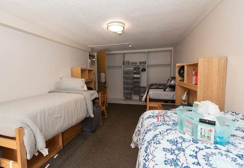Damp Dorm Carpet