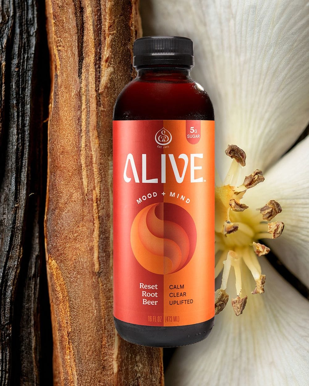 adaptogenic root beers