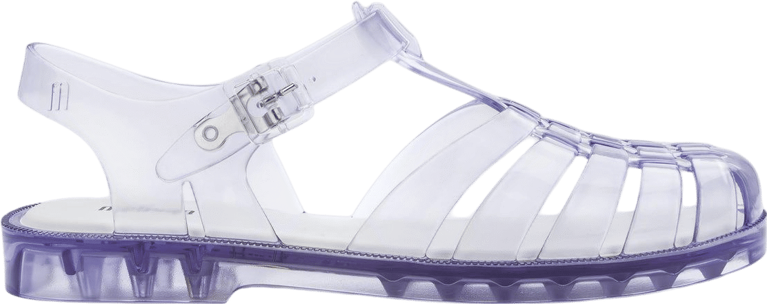 Melissa Jelly Shoe