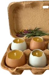 Beeswax Eggshell Candles