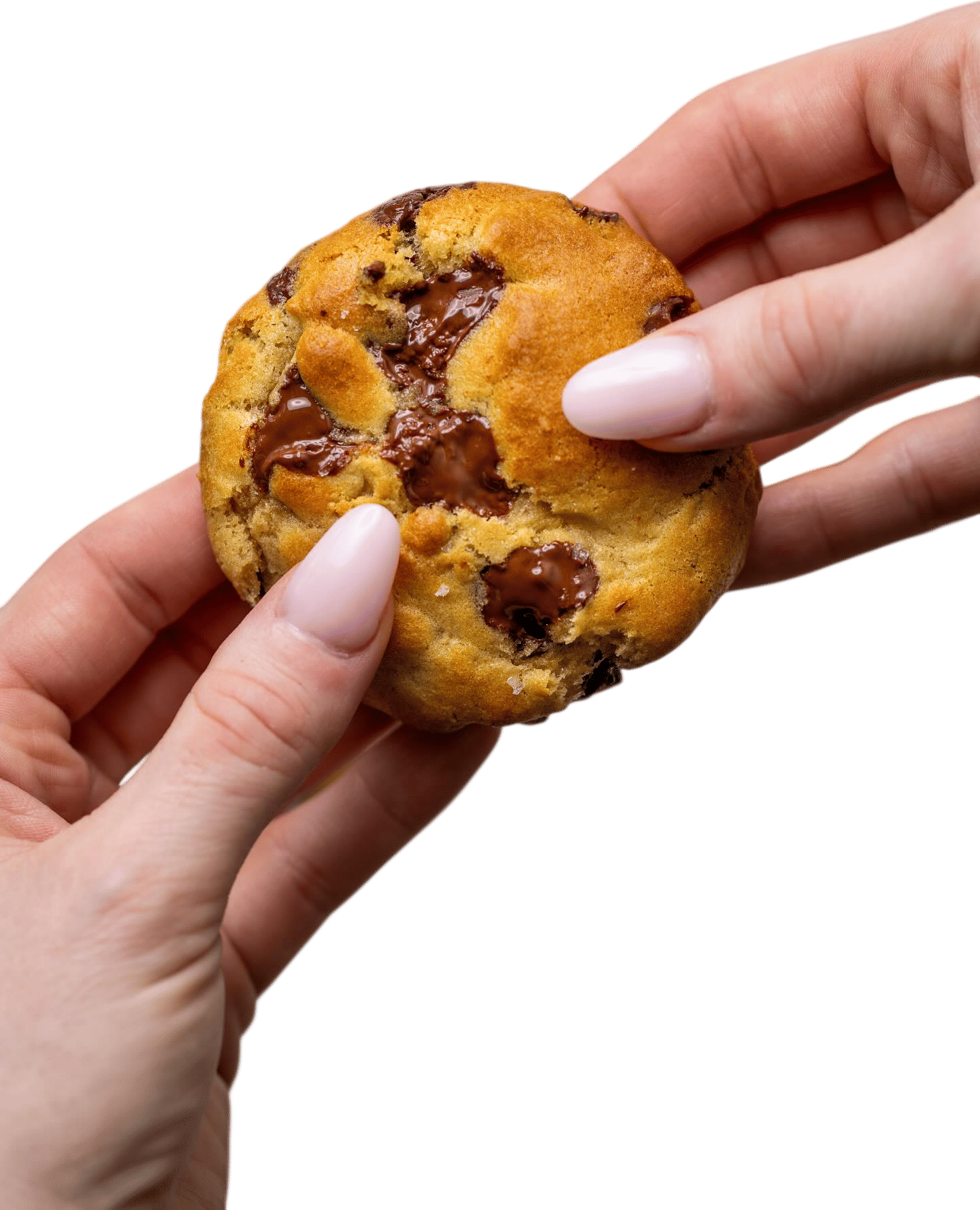 Le Coupe Chocolate Chip Cookies