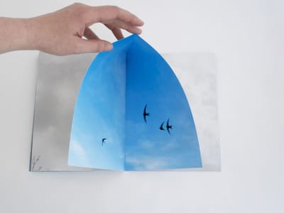 Swifts