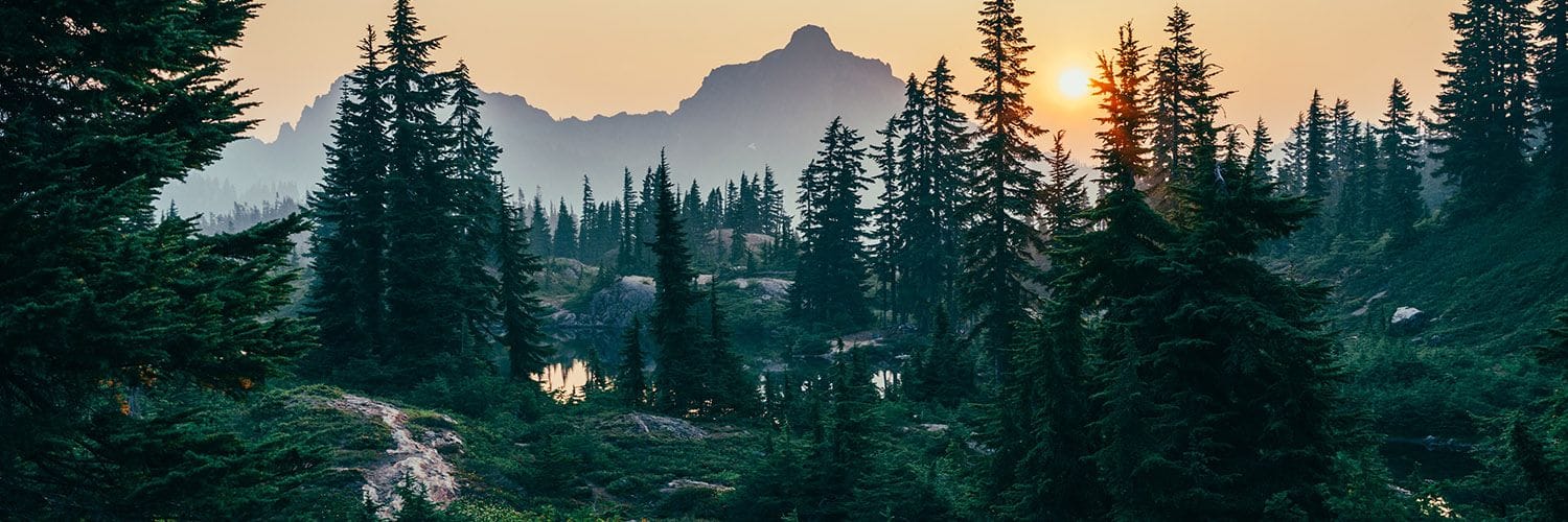 Two Hour 'Nature Dose' For Wellbeing
