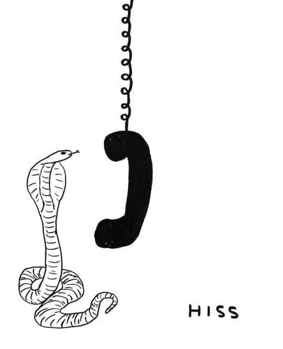 David Shrigley