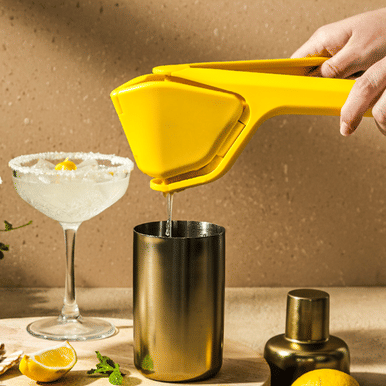 Dreamfarm Fluicer (Fold Flat Easy Juicer)