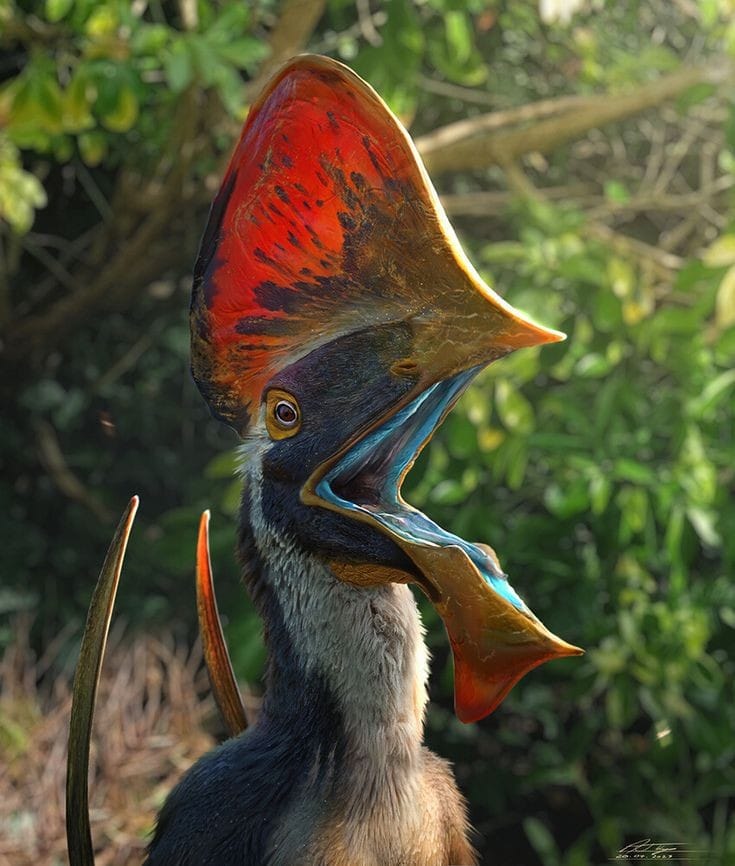 Tapejara