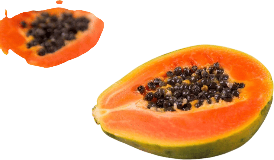 Papaya