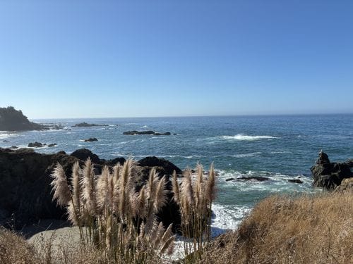 Cooks Beach