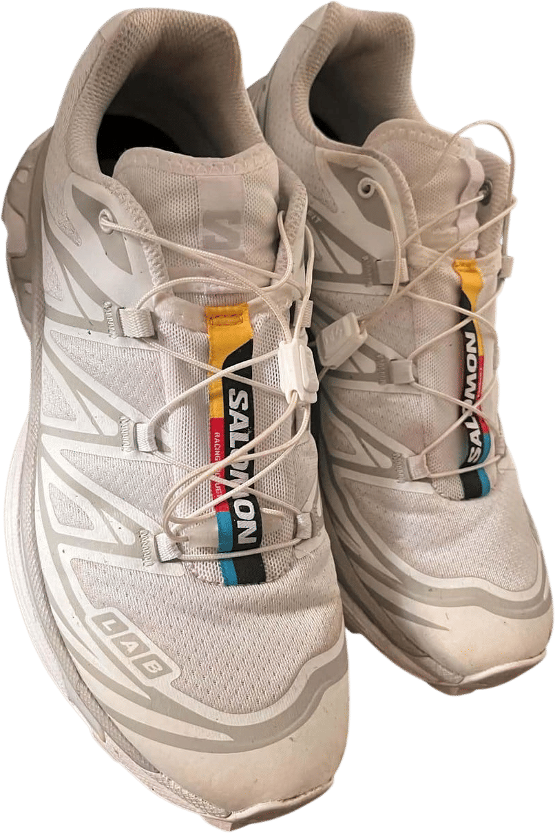 salomon xt 6
