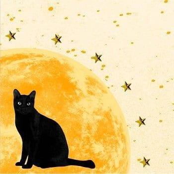 leo sun, scorpio rising, libra moon