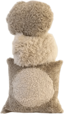 Members-Only Recommendation