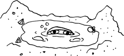 The Crab Museum