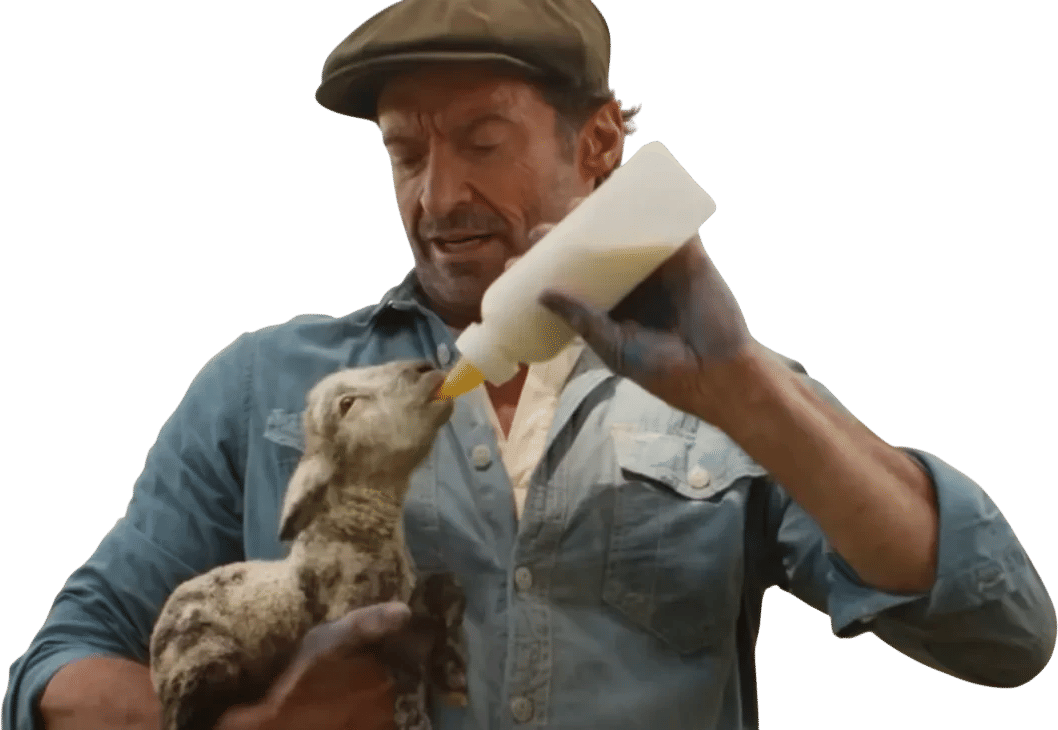 The Sheep Detectives