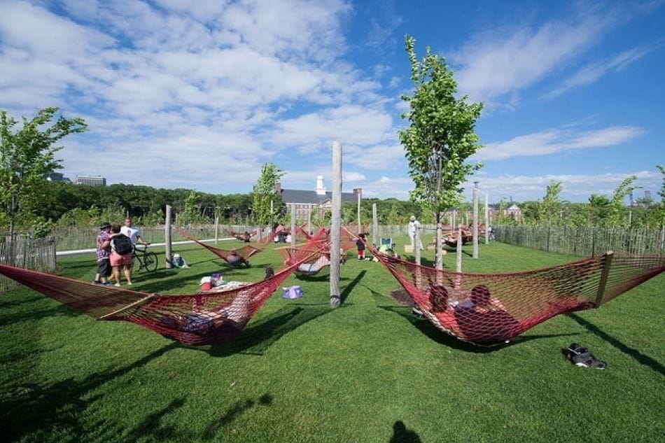 Hammocks at Governor's Island