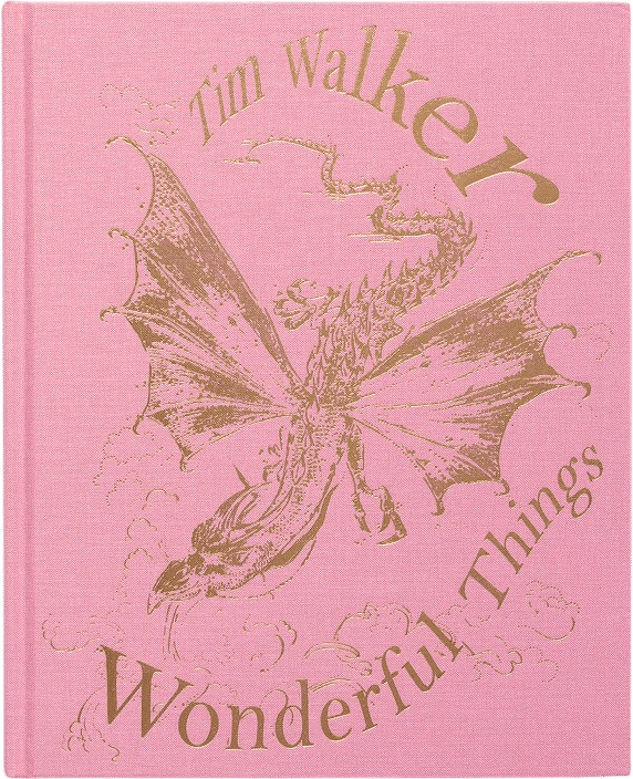 tim walker - wonderful things