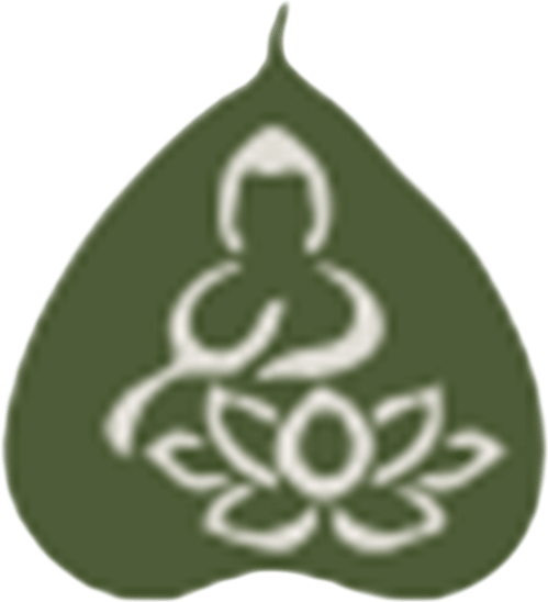 Bodhi Kosher- Vegetarian and Kosher restaurant