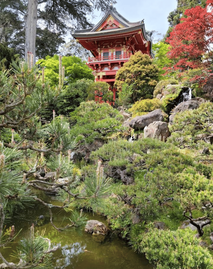 ENCHANTED GARDEN