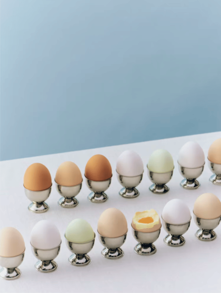 Essential Steel Egg Cup