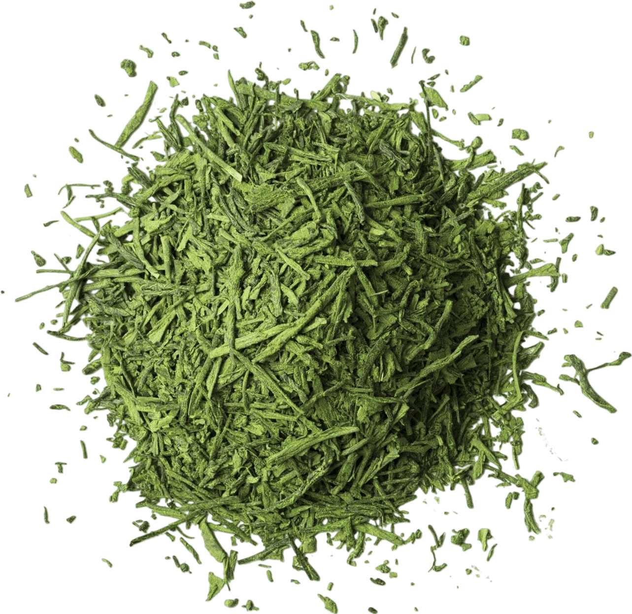 Matcha Super Green Organic Loose Leaf Tea