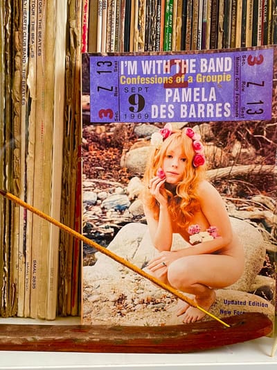 I'm with the Band: Confessions of a Groupie