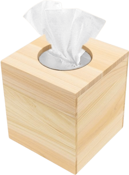 Hinoki Tissue Cube