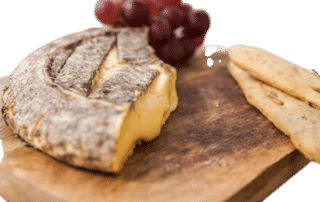Terra Cheese