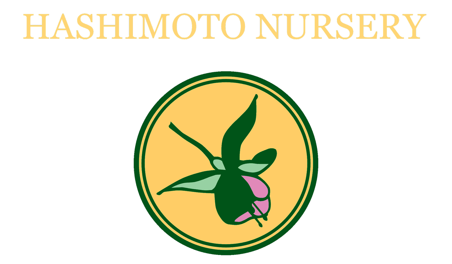 Hashimoto Nursery