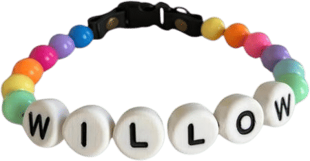 willadore friendship bracelet dog collar