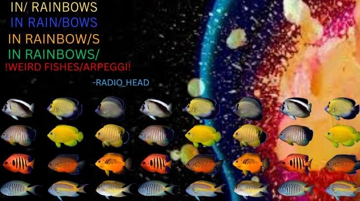Weird Fishes / Arpeggi