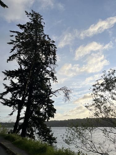seward park