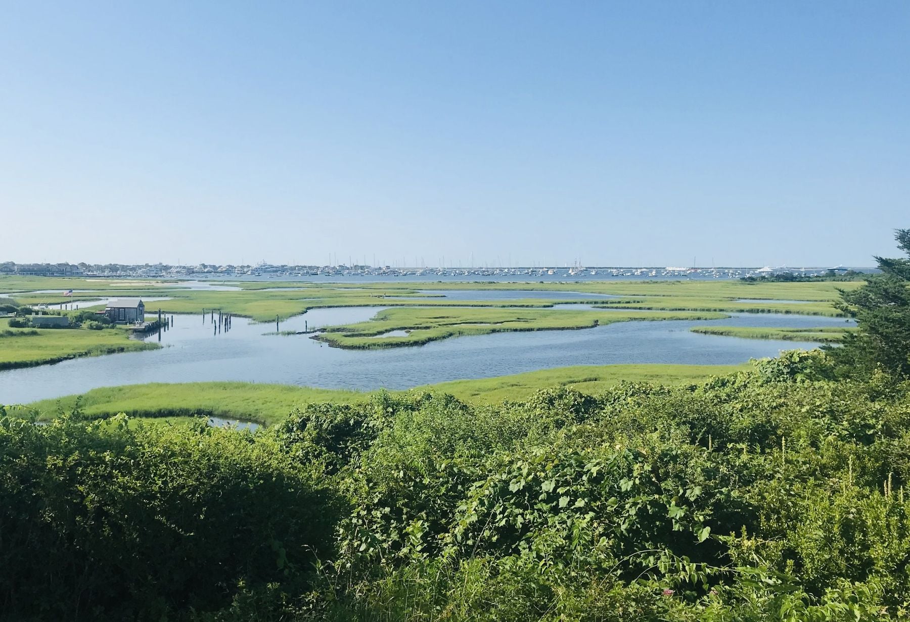 The Creeks Preserve
