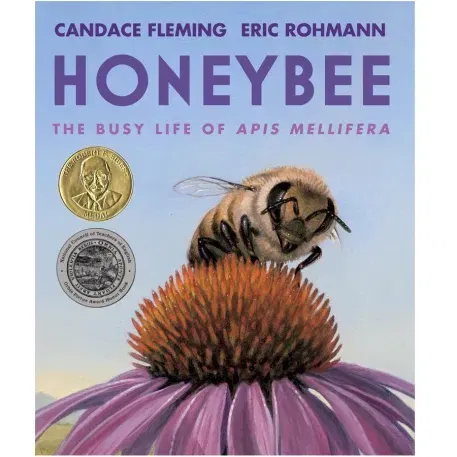 Honeybee: The Busy Life of Apis Mellifera