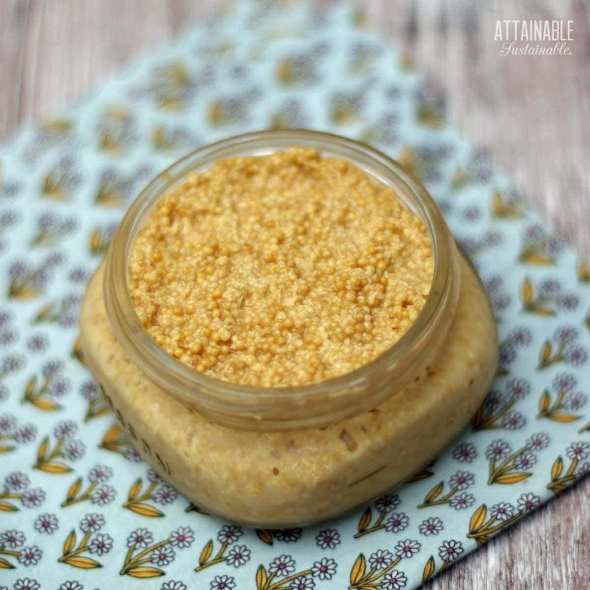 Easy 2-Ingredient Homemade Mustard