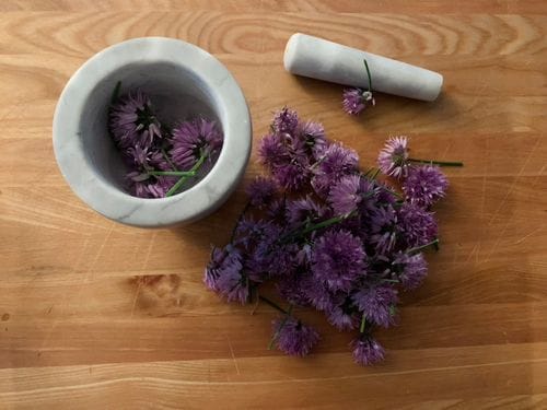 Kitchen Gadgets Under $30 I Can’t Live Without
