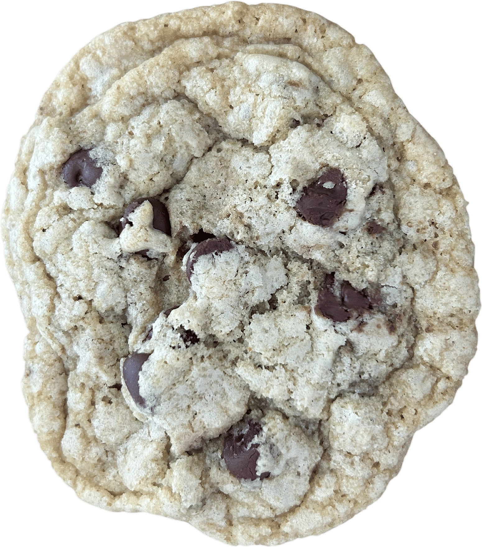 VBCCCs (very best chocolate chip cookies)