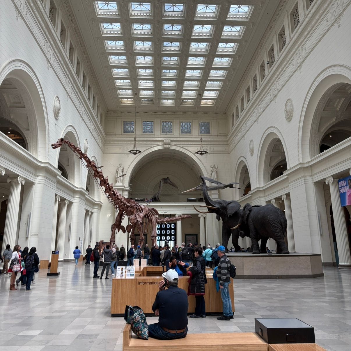 Museums