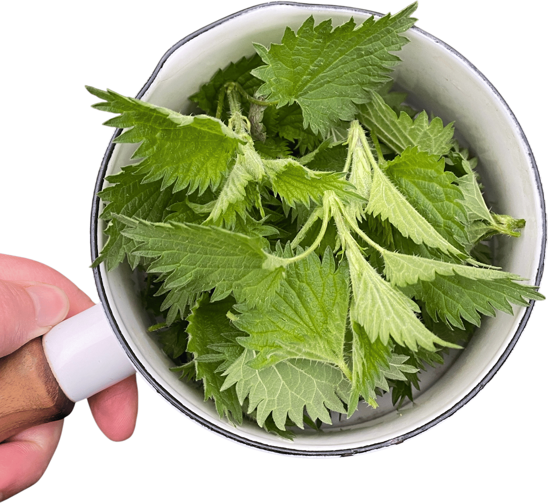 Nettles