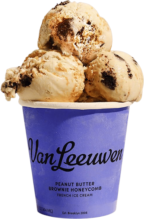 Van Leeuwen’s Peanut Butter Brownie Honeycomb Ice Cream