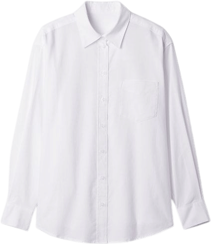 Organic Cotton Oxford Big Shirt | Gap