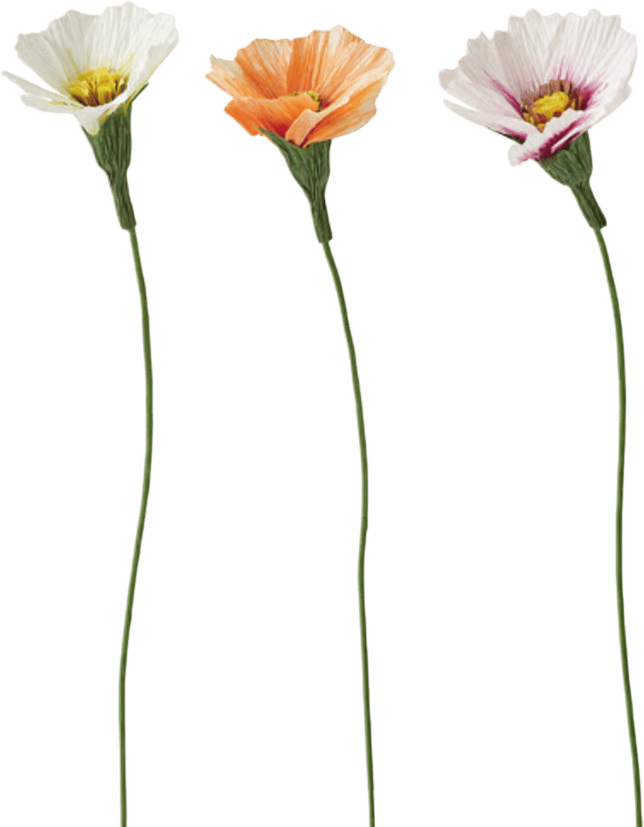 Paper Flowers