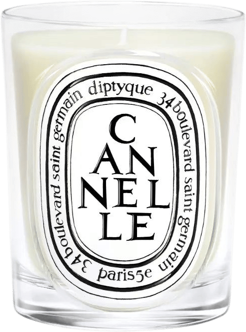 diptyque cannelle candle