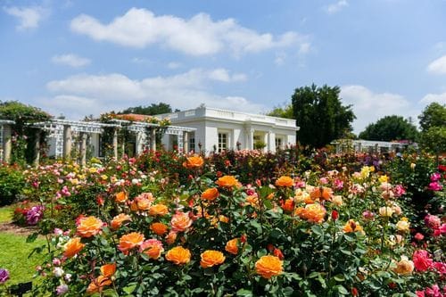 Huntington Gardens Yearly Membership