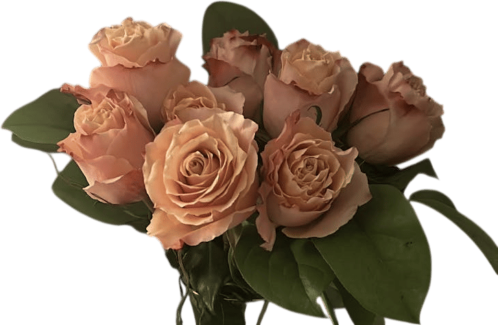 Don’t Throw Out Dead Flowers