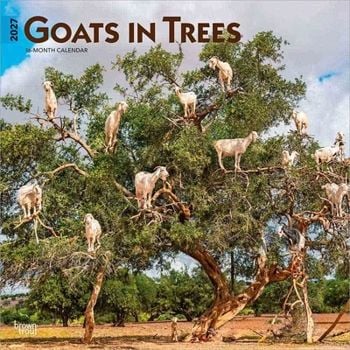 Goats in Trees Calendar