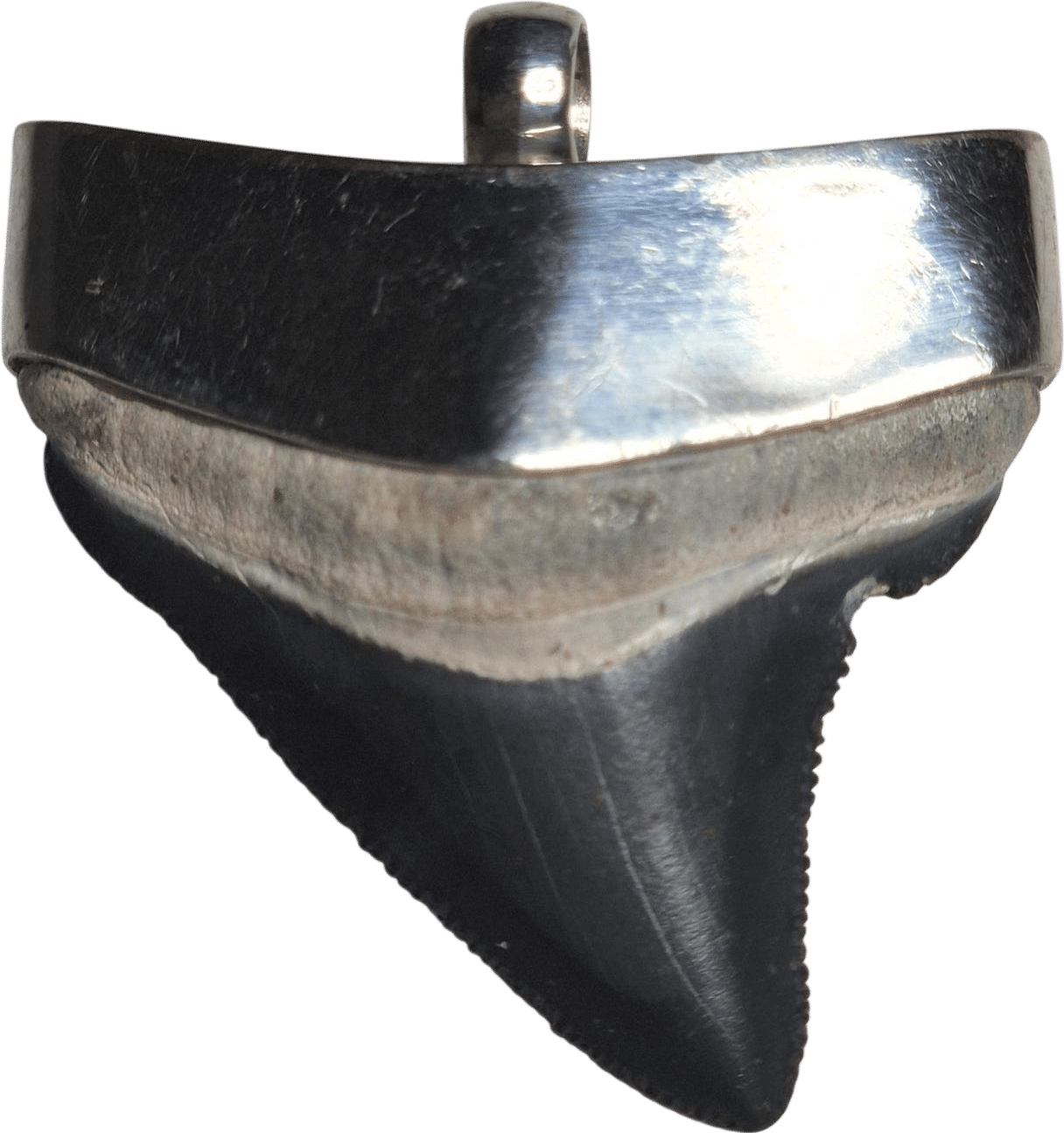 Silver Shark Pendant